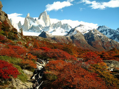 Fitz Roy